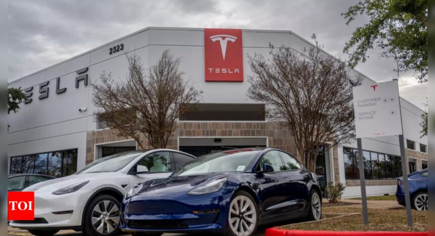 Tesla's shift throws India factory plans in limbo