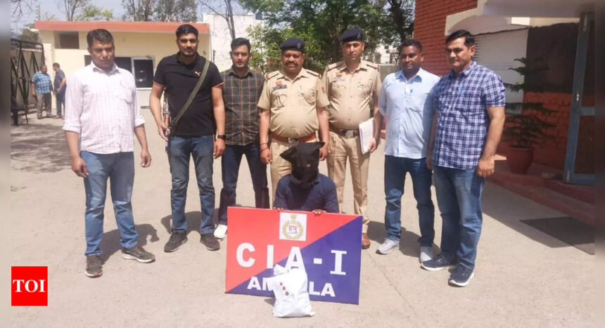 UP man held smuggling 2.60 kg opium in Ambala | India News