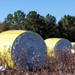 US cotton exports jump 79% week-on-week: USDA