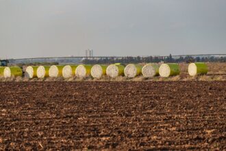 USDA cuts global cotton ending stock estimate to 83.03 mn bales: WASDE