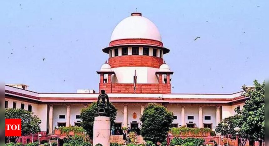 Voters don't need to know every detail of a neta's assets: SC | India News