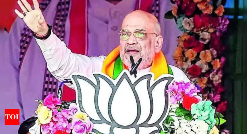 Want 400+ seats for reforms, not to end reservation: Shah | India News