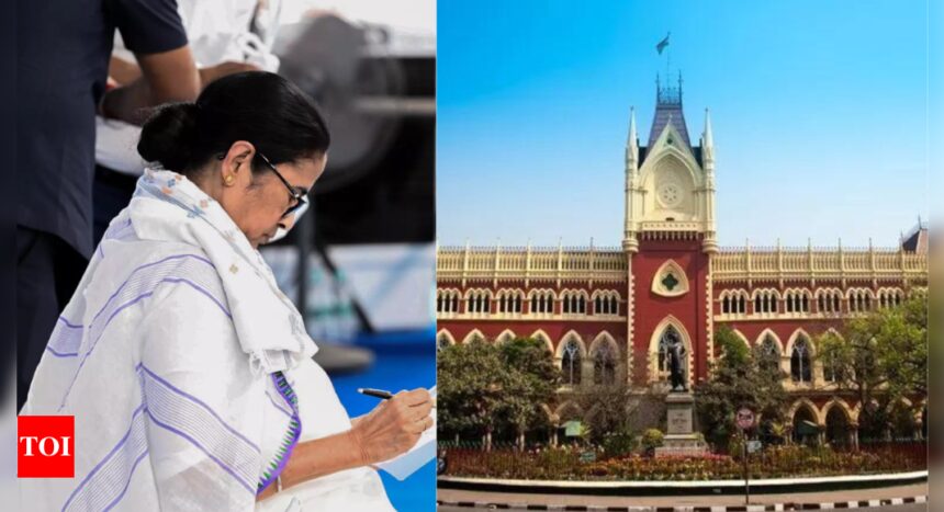 West Bengal govt goes to SC, says Calcutta HC’s jobs scam order will paralyse schools | India News