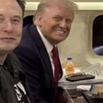 Elon Musk Vs Mark Zuckerberg: Fans want Elon Musk vs Zuckerberg cage fight at Trump's Mar-a-Lago as this video goes viral