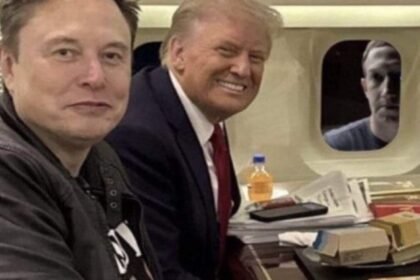 Elon Musk Vs Mark Zuckerberg: Fans want Elon Musk vs Zuckerberg cage fight at Trump's Mar-a-Lago as this video goes viral