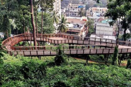 Mumbai's first elevated nature trail walkway at Malabar Hill to open in January 2025 | Mumbai News