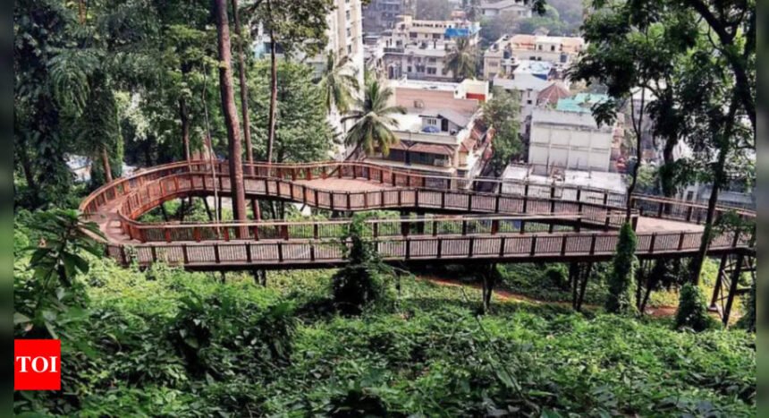 Mumbai's first elevated nature trail walkway at Malabar Hill to open in January 2025 | Mumbai News