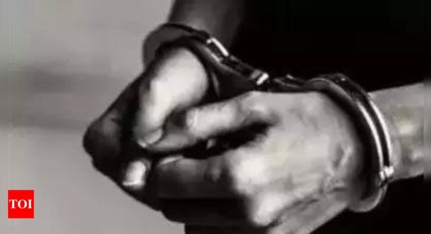 9 arrested in November 17 Assam gang-rape case