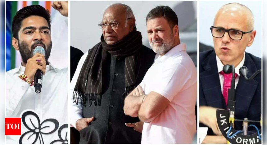 After Rahul vs Mamata leadership tussle, it is now EVM divide in opposition INDIA bloc | India News