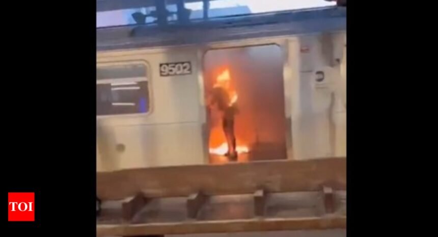 Amelia Carter NYC: Who is Amelia Carter? Is she really the victim of the NYC subway horror?