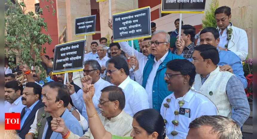 Amit Shah’s statement on BR Ambedkar rocks Maharashtra Legislative Council; opposition walks out | Mumbai News