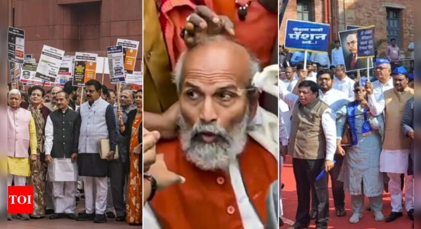 'BJP MPs were pushing me': Rahul Gandhi after scuffle outside Parliament during protest; latest developments | India News