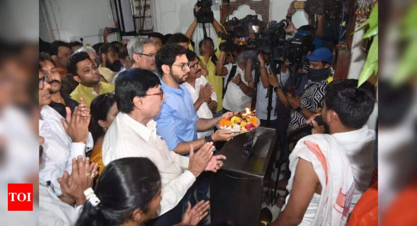 Central Railway stays razing of 5 unauthorised temples outside Dadar station; Sena UBT, BJP claim credit | Mumbai News