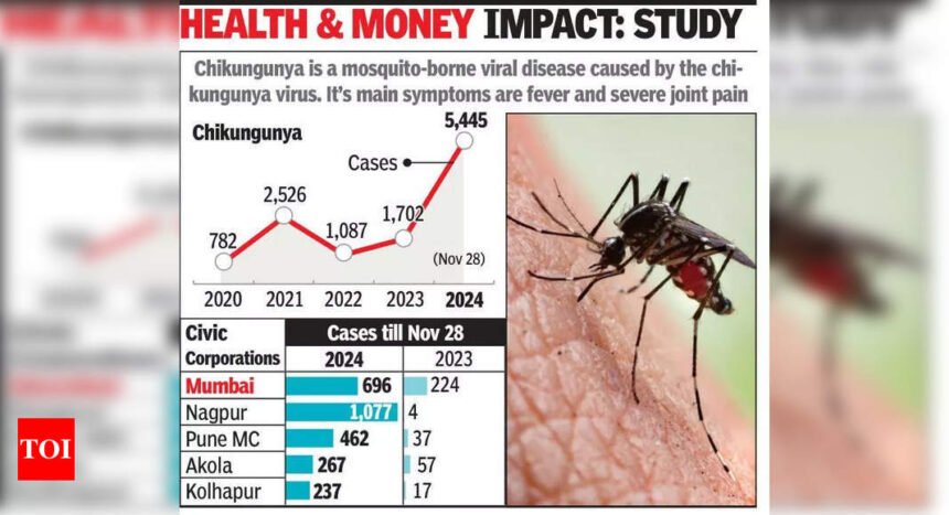 Chikungunya Cases Surge in Maharashtra: 3x Increase Raises Concerns | Mumbai News