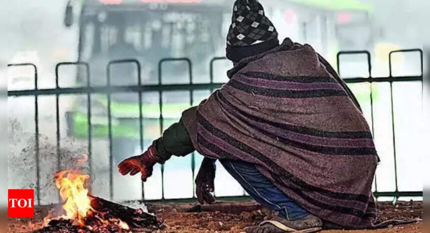 Cold wave likely in parts of north India from today | Delhi News