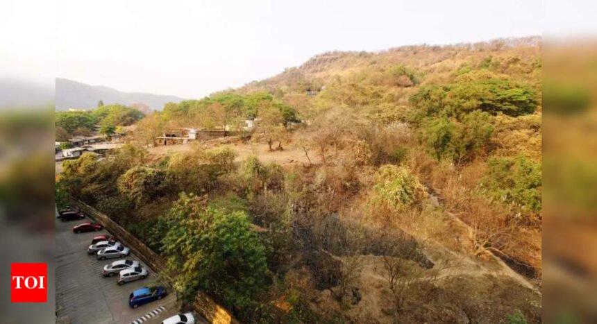 Despite warnings, illegal temple construction resumes on landslide-prone Belapur Hill | Mumbai News