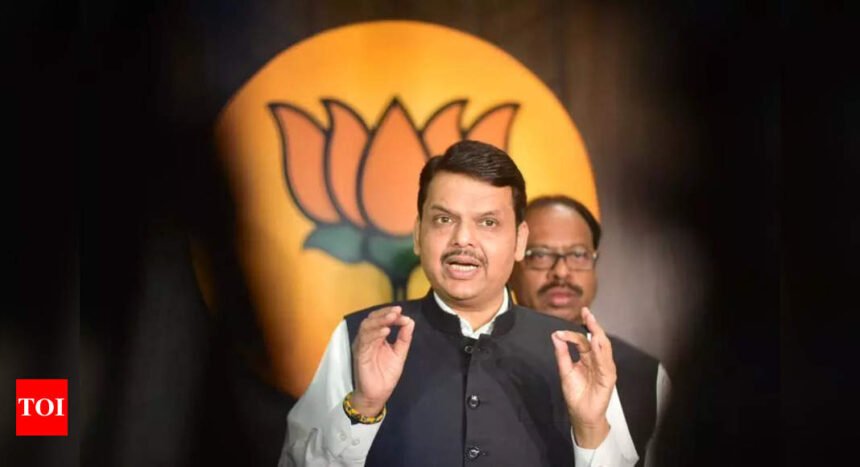 Devendra Fadnavis Promises Stability and Progress in Maharashtra's New Government | Mumbai News