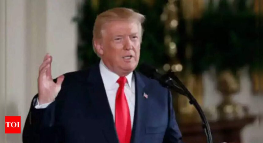 Don Lemon Trump: MAGA asks 'who is Don Lemon' after his meltdown over Trump becoming Person of the Year