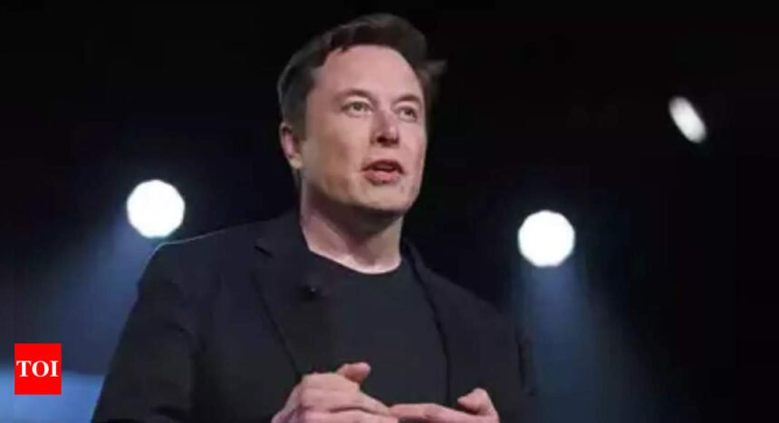 Double standards of Elon Musk? Netizens recall 'Haitian immigrant slurs' amid immigration reform push