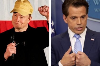 Elon Musk Anthony Scaramucci: Elon Musk reacts to Anthony Scaramucci's veiled 'stick to business' warning