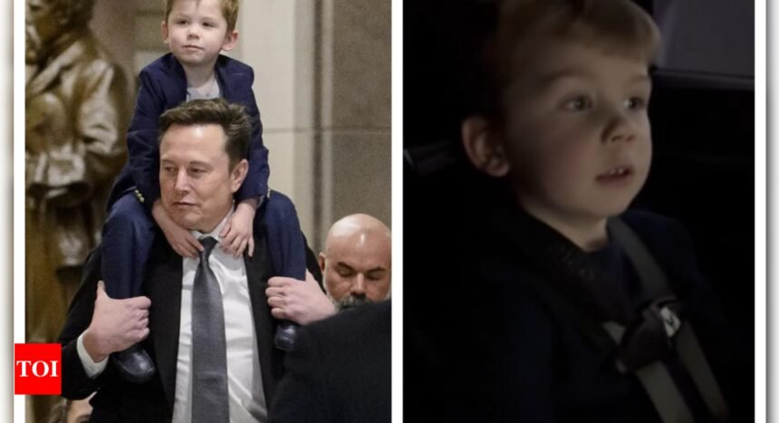 Elon Musk Son Viral Video: Elon Musk's 4-year-old son has this 4-word advice for father in viral video