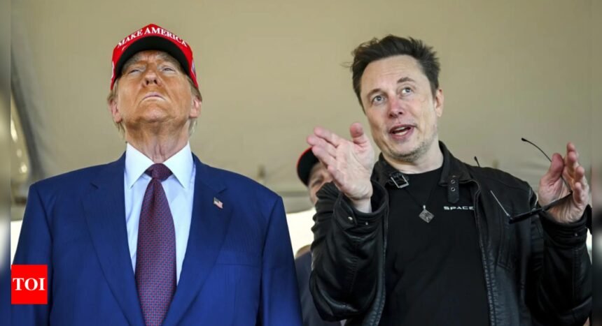 Elon Musk Spending Bill: Elon Musk reacts to CNN panelists accusing him of spreading 'fake news' over spending bill