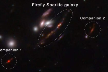 'Firefly Sparkle': Nasa's James Webb telescope finds tiny Milky Way-like galaxy