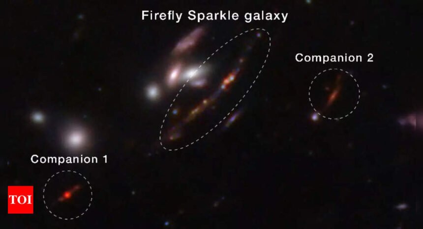 'Firefly Sparkle': Nasa's James Webb telescope finds tiny Milky Way-like galaxy