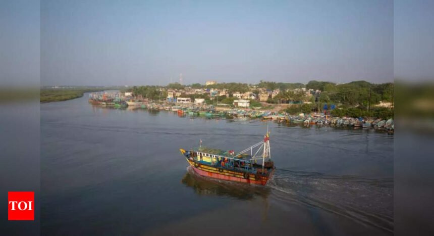 Fishing boat damaged after being hit by Chinese cargo ship | Mumbai News