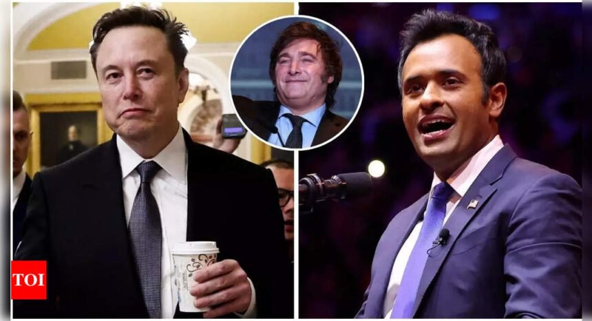 From Buenos Aires to Washington: Can Javier Milei’s fiscal reforms inspire Musk and Ramaswamy’s DOGE agenda?