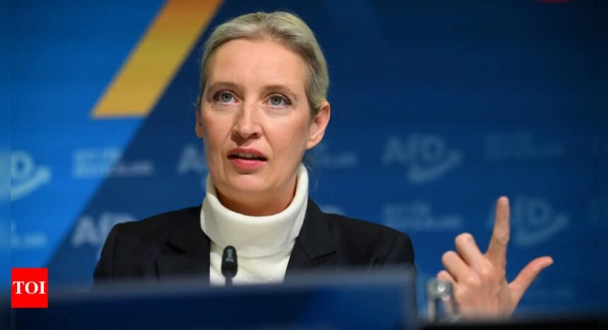 German far-right AfD leader is Chinese-speaking lesbian economist
