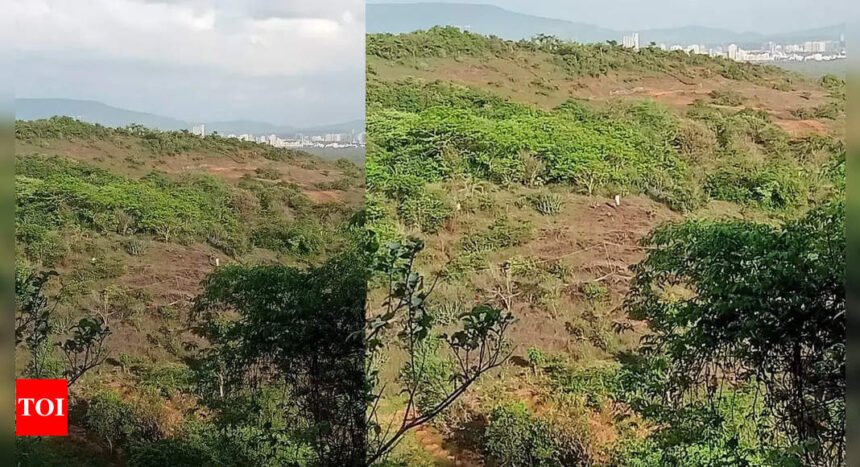 Greens flag concern: 1,406 trees to be felled for Metro Line 9 car shed in Mumbai's Mira Bhayander | Mumbai News