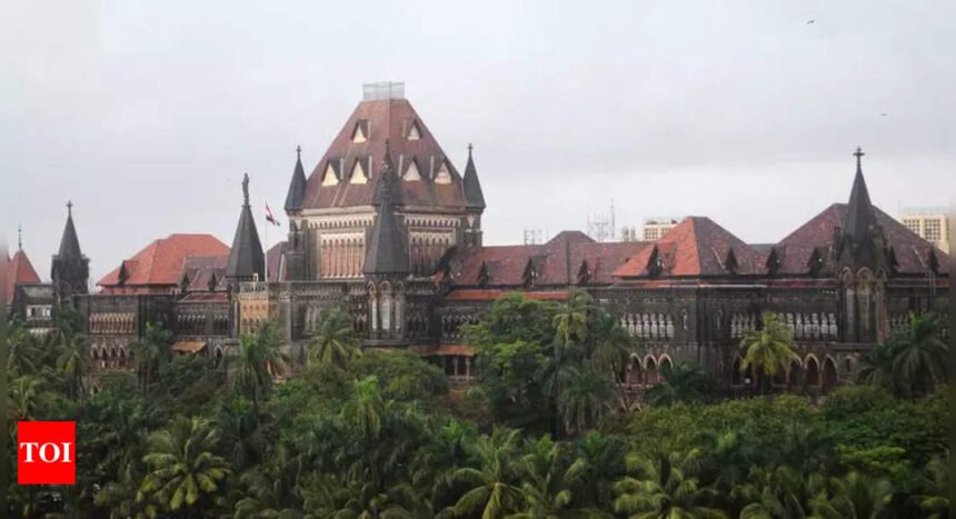 HC grants bail to mentally ill man convicted for killing dad | Mumbai News