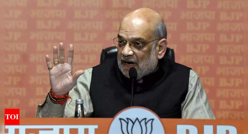 Home minister Amit Shah chairs J&K security review, calls for synergy | India News