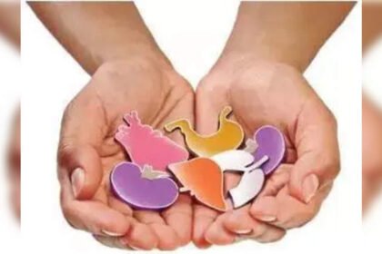 In 1 year, organ donations in MMR jump 20% to 60 | Mumbai News