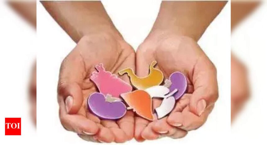 In 1 year, organ donations in MMR jump 20% to 60 | Mumbai News