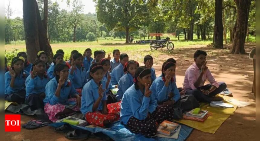 In Bastar, battle for hearts & minds via bijli-sadak-paani | India News