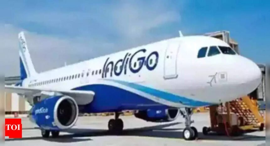 Inaugural Commercial Flight Set for Navi Mumbai Airport - IndiGo to Make Historic Landing | Mumbai News