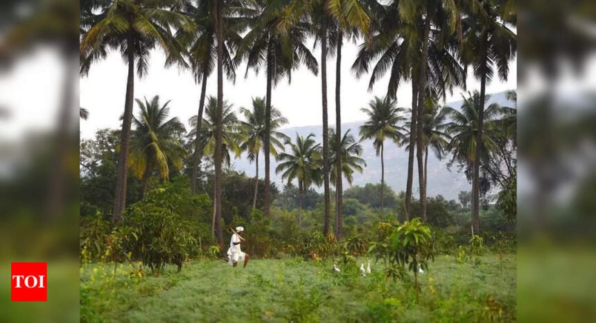Ind’l subsidy extended for 4 regions | Mumbai News