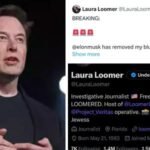 Is Elon Musk targeting free speech on X? Laura Loomer and other users question loss of blue checks and subscribers