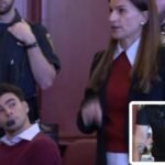 Luigi Mangione Lawyer: Did Luigi Mangione and lawyer wear matching outfits? Why was Brian Thompson's accused killer smiling in court?