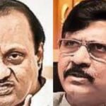 Mahayuti govt plans to make brothers and husbands drunk to give Rs 1,500 to 'ladki bahin': Sanjay Raut | Mumbai News