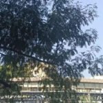 Mumbai horror: Man found hanging from Ghatkopar skywalk, suicide suspected | Mumbai News