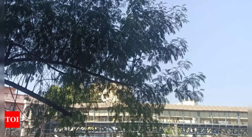 Mumbai horror: Man found hanging from Ghatkopar skywalk, suicide suspected | Mumbai News