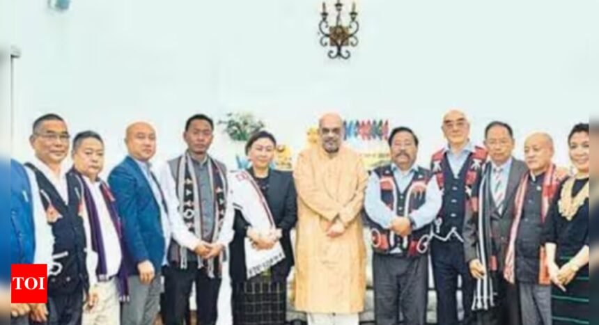 Naga group 'temporarily' accepts govt's autonomy offer | India News