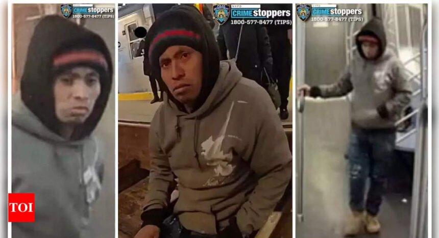 New York City Subway Fire: New York police work to identify woman set on fire on subway, question suspect