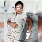 Plastic surgery on 8-yr-old boy after dog bite | Mumbai News