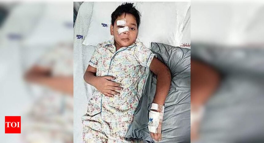 Plastic surgery on 8-yr-old boy after dog bite | Mumbai News