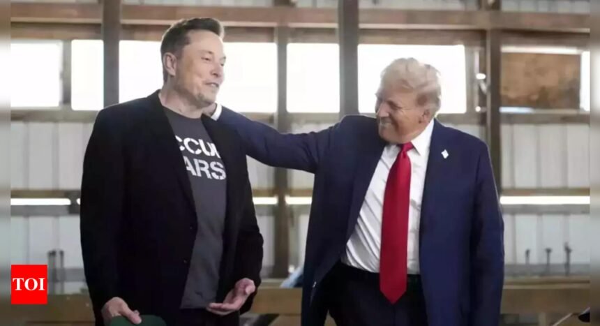 President Musk: Trump was not bothered by 'President Musk' chatter: 'Nothing that Elon posted...'