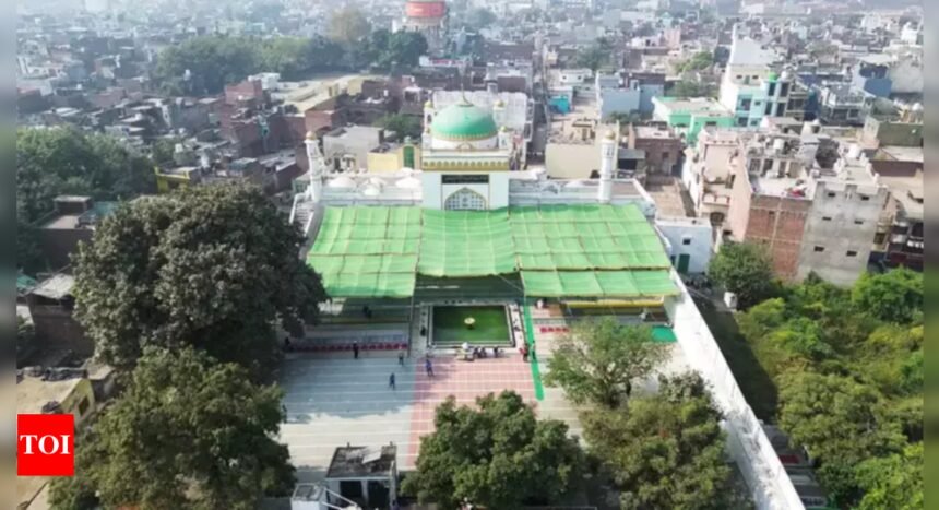 Sambhal mosque surveyor cites health issues, seeks 15-day extension | India News